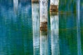 The sunken forest of Lake Kaindy.